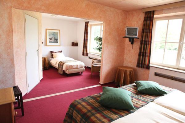 Hotel Chalet Sur Lesse Maissin Pokoj fotografie